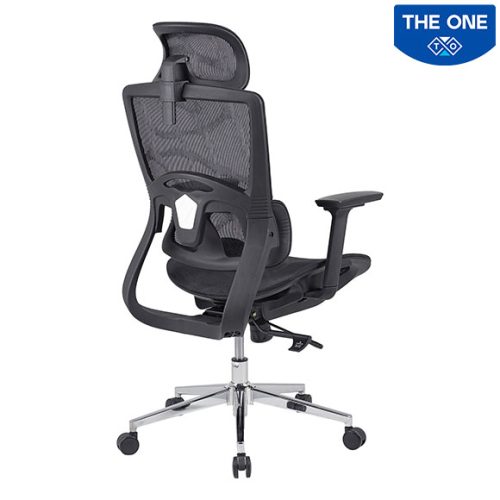 Ghế Công Thái Học The One GLE10