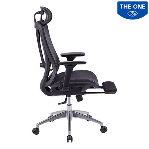Ghế Công Thái Học The One GLE15