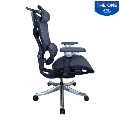 Ghế Công Thái Học The One GLE16