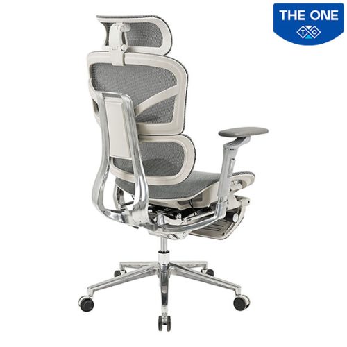 Ghế Công Thái Học The One GLE17