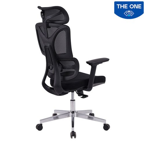 Ghế Công Thái Học The One GLE19