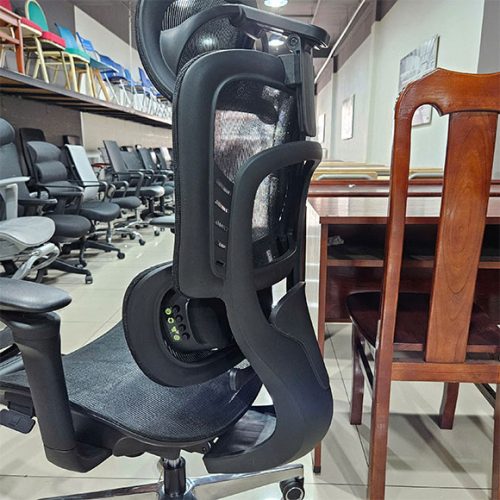 Ghế Công Thái Học Massage D-16QB