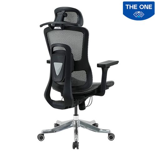 Ghế Công Thái Học The One GLE20