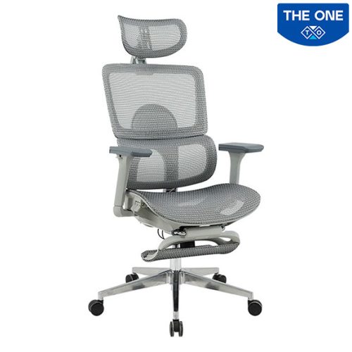 Ghế Công Thái Học The One GLE21