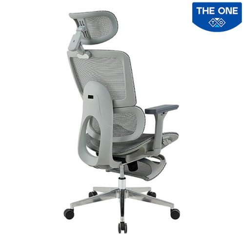 Ghế Công Thái Học The One GLE21