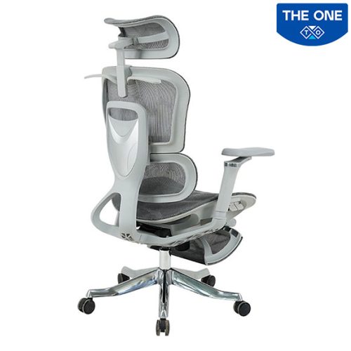 Ghế Công Thái Học The One GLE22