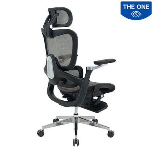 Ghế Công Thái Học The One GLE24