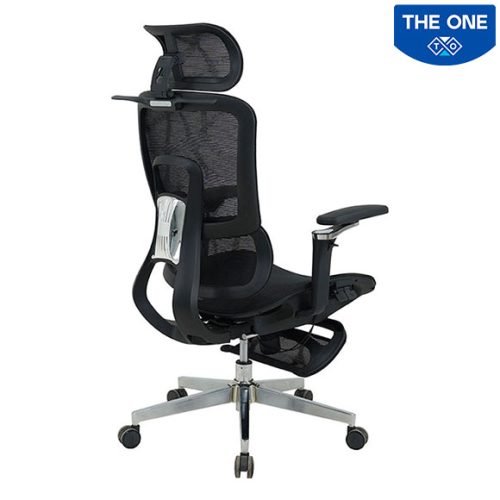 Ghế Công Thái Học The One GLE25