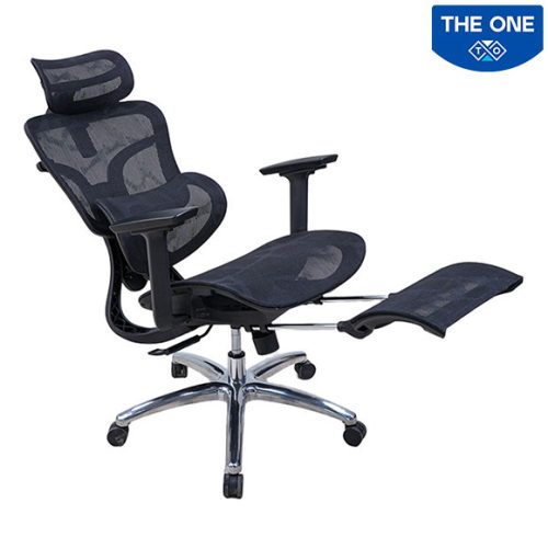 Ghế Công Thái Học The One GLE27