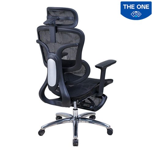 Ghế Công Thái Học The One GLE27
