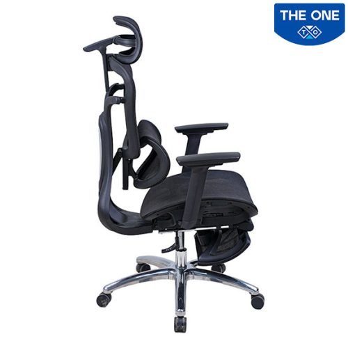 Ghế Công Thái Học The One GLE27
