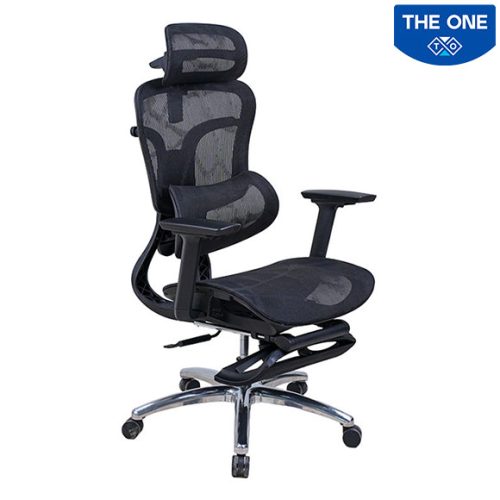 Ghế Công Thái Học The One GLE27