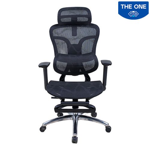 Ghế Công Thái Học The One GLE27